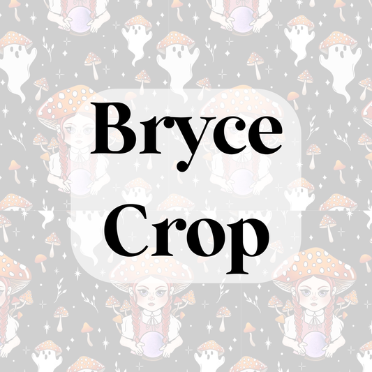 Bryce Crop/Bralette