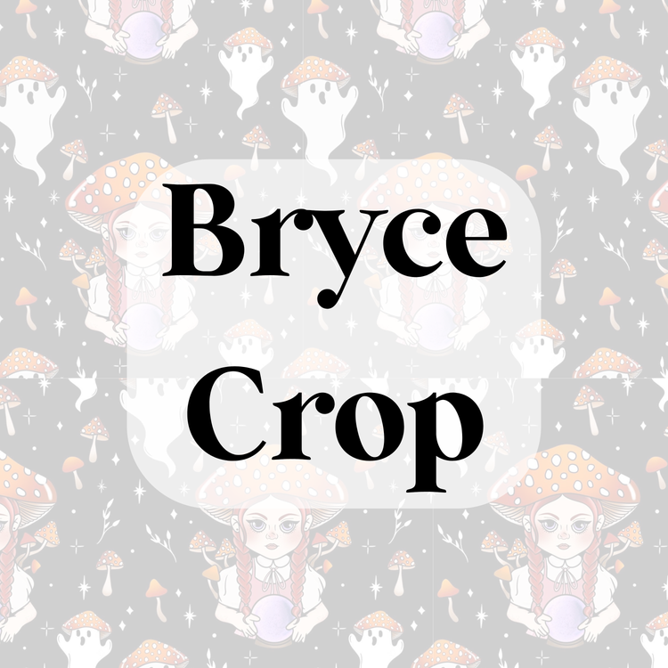 Bryce Crop/Bralette